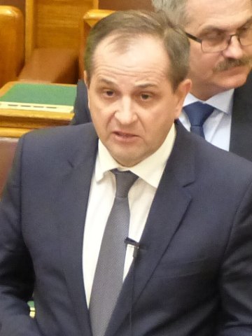 Budai Gyula